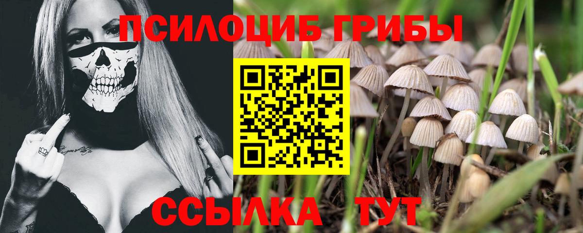Краснотурьинск  Псилоцибиновые грибы Psilocybe  Вход с VPN 