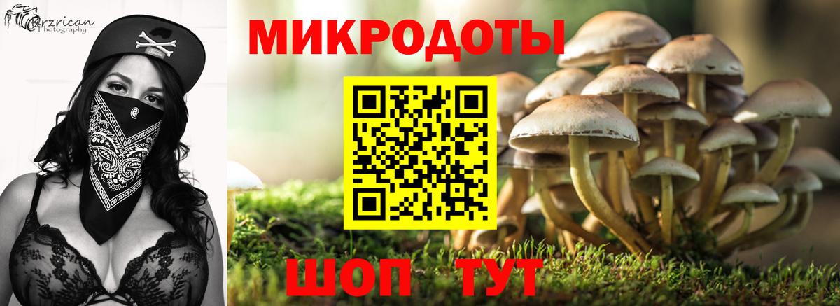 Галлюциногенные грибы Psilocybine cubensis Краснотурьинск
